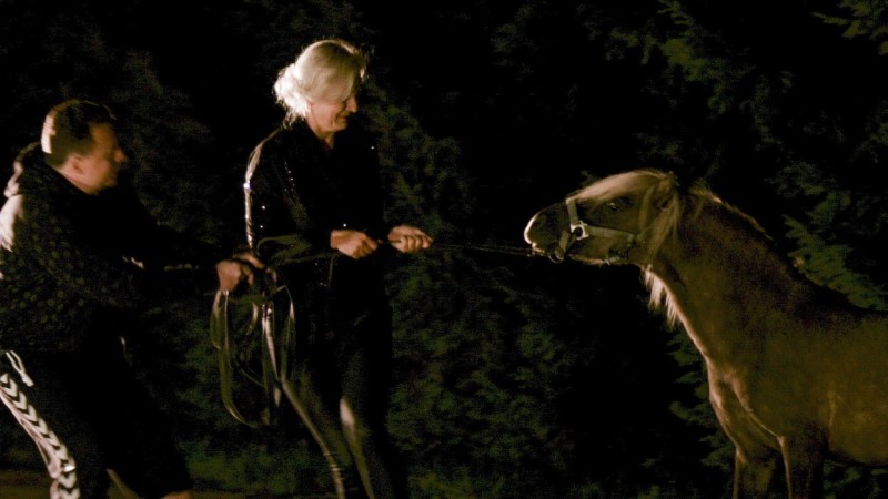 Netikėtas akibrokštas: Gediminas Juodeika bandė pavogti... ponį